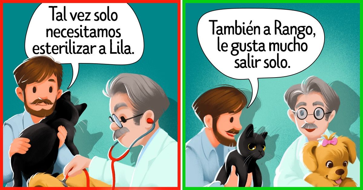 9 Mitos acerca de la esterilización de perros y gatos que quizás es tiempo de aclarar 9 Mitos acerca de la esterilización de perros y gatos que quizás es tiempo de aclarar