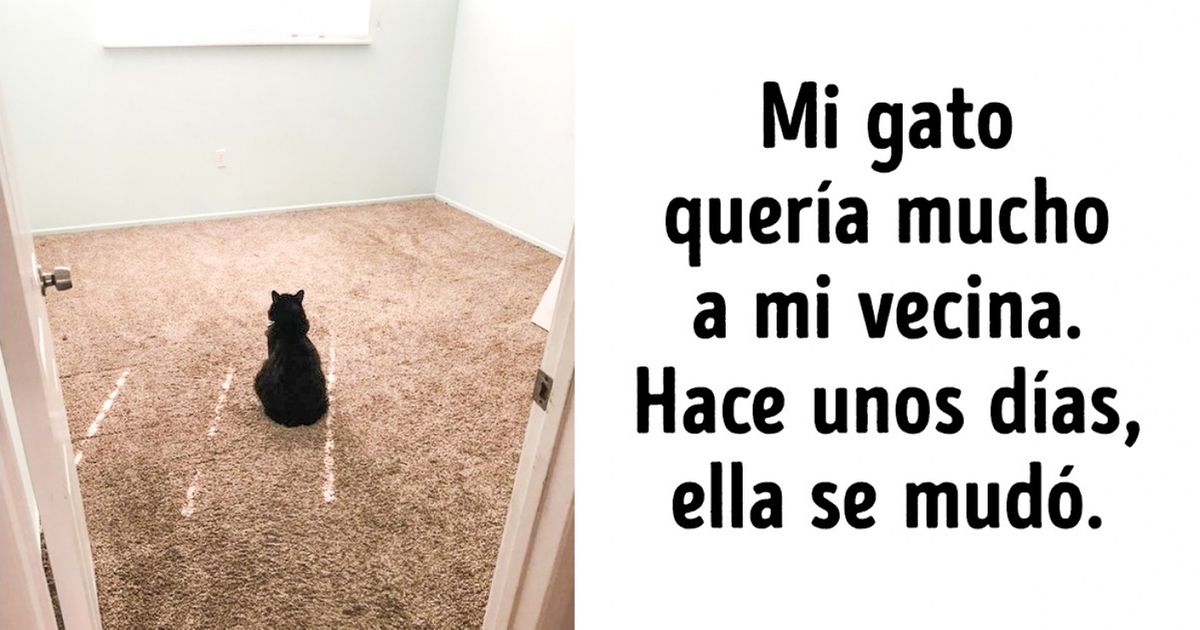 20 Mascotas fieles que nos hacen reflexionar si de verdad merecemos su amor infinito