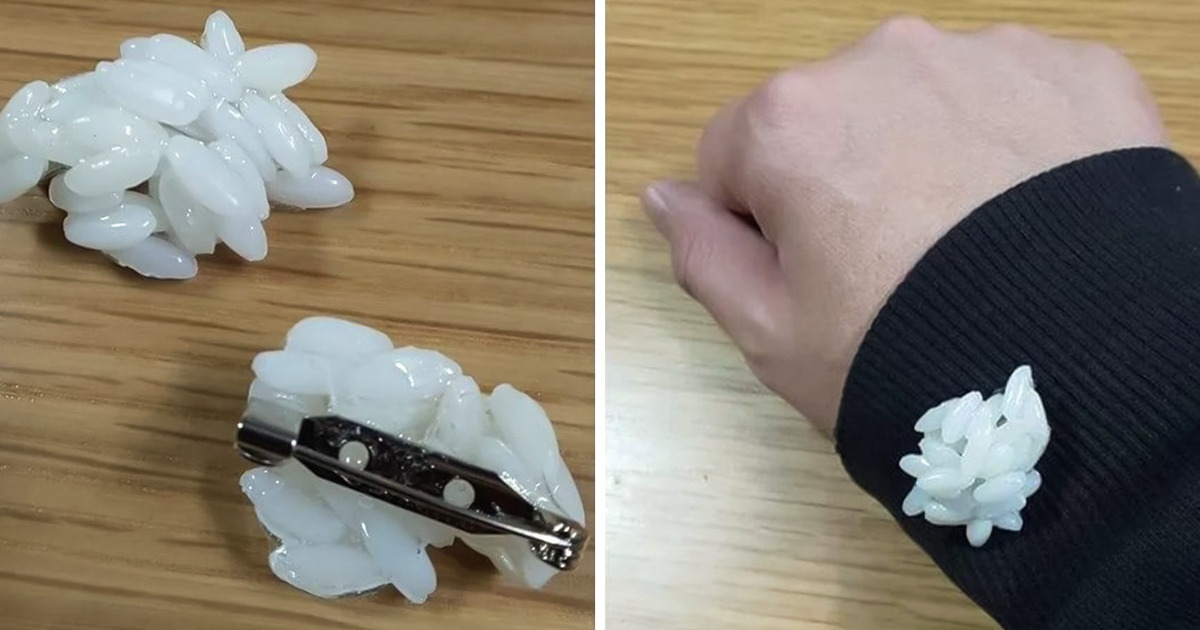 16 Personas audaces que eligieron artículos muy particulares y no se fijaron en las opiniones de los demás