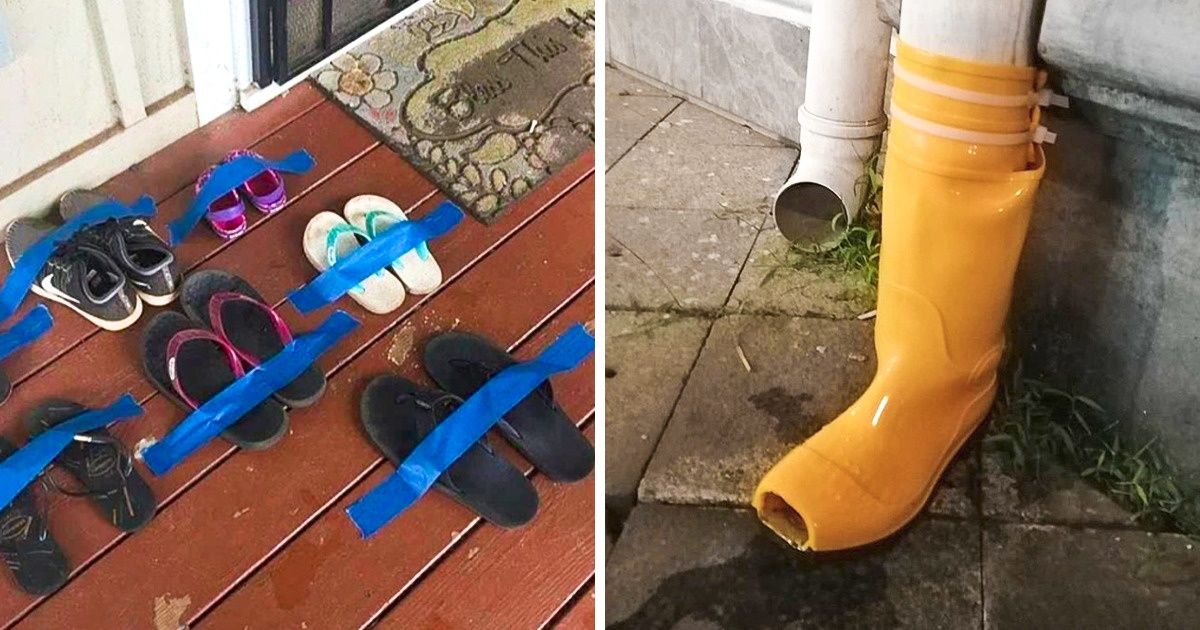 18 Personas que saldrán de cualquier situación gracias a su ingenio