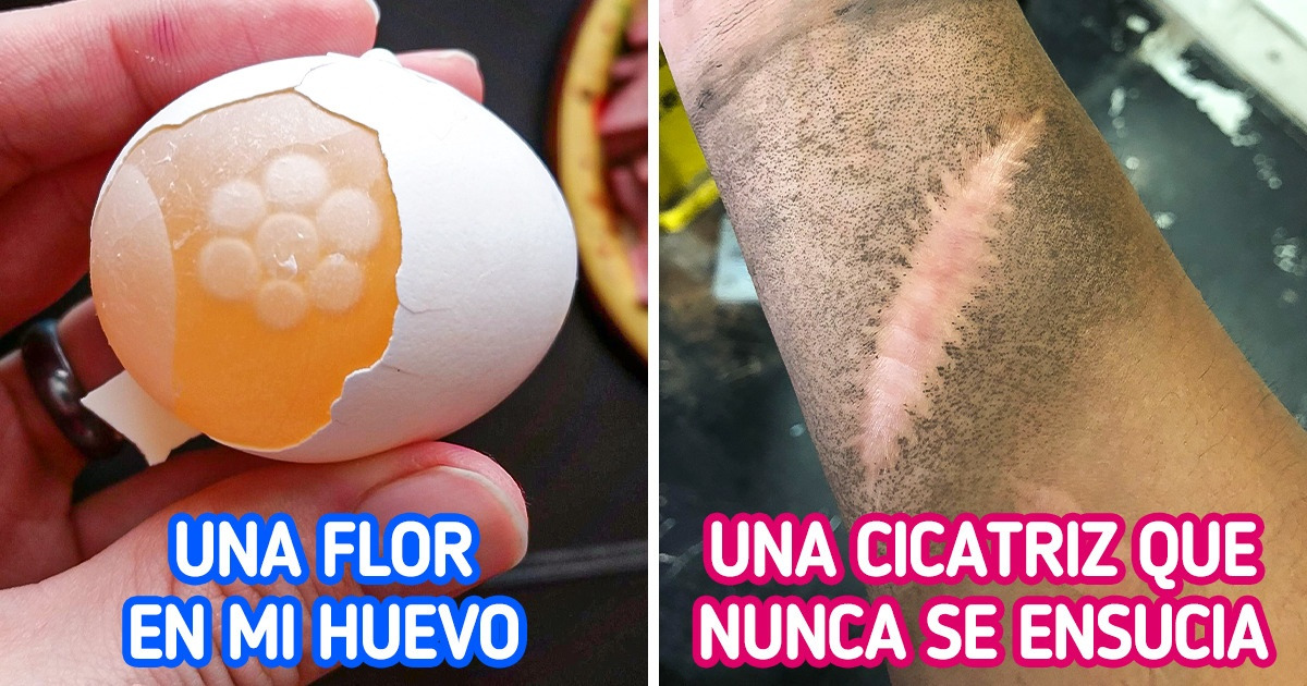 19 Hallazgos inesperados que dejaron en evidencia la singularidad de las cosas que nos rodean