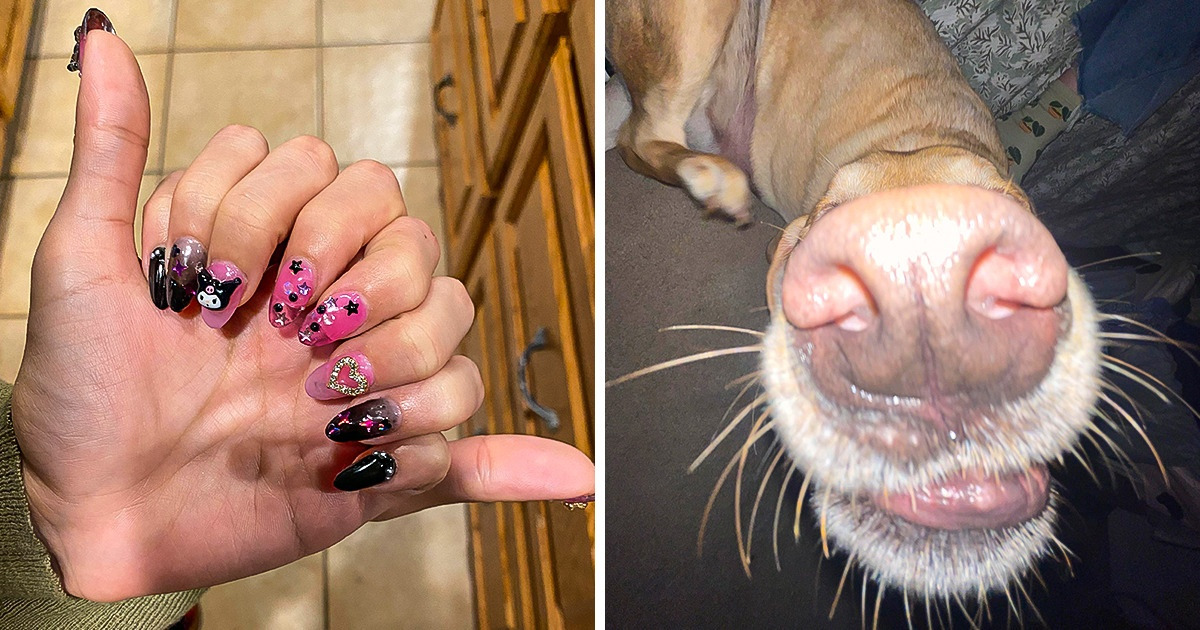 23 Fotos que requieren poner los ojos como platos para poder entenderlas