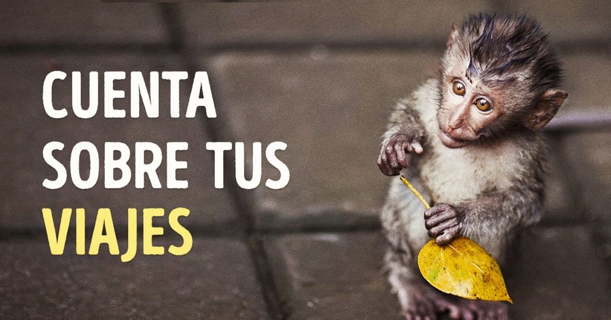 Estas 20 revistas le pagarán a todo aquel que envíe sus reportajes de viajes