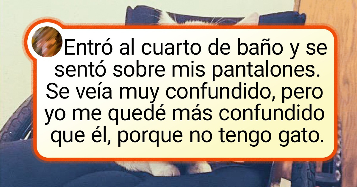 16 Criaturas peludas que de repente decidieron “Es un lindo lugar. ¡Aquí me quedo!” 16 Criaturas peludas que de repente decidieron “Es un lindo lugar. ¡Aquí me quedo!”