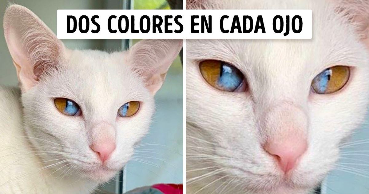 20+ Momentos en los que la naturaleza creó una verdadera obra maestra