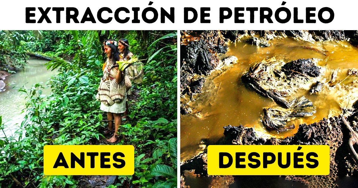 Tribu amazónica triunfa al detener la destrucción que una compañía petrolera provocaba en la selva, y este es un gran paso para salvar el planeta Tribu amazónica triunfa al detener la destrucción que una compañía petrolera provocaba en la selva, y este es un gran paso para salvar el planeta