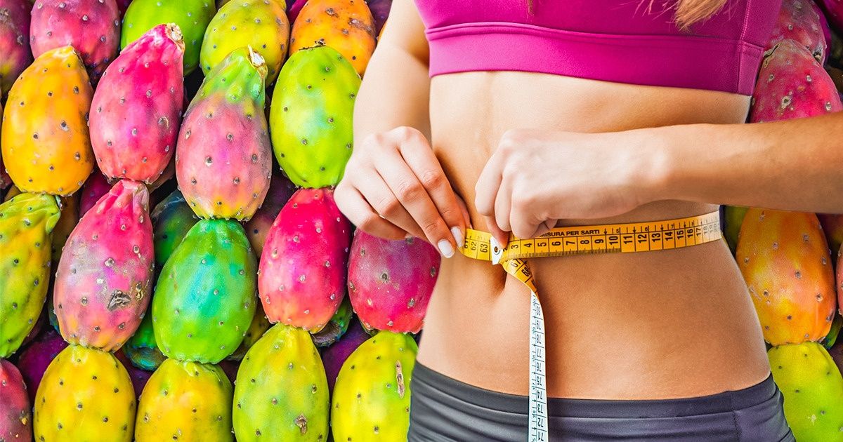 Nopal: usos, propiedades y beneficios del “oro verde mexicano”