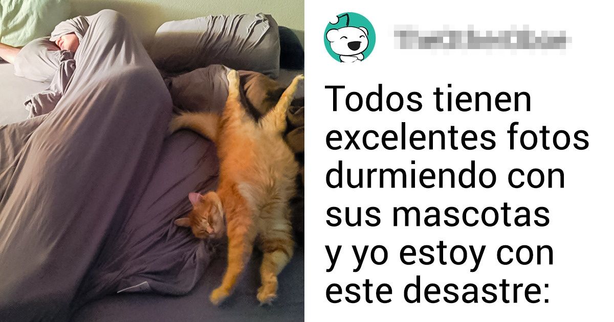 20+ Mascotas adoptan posiciones exóticas que superan las leyes de la gravedad y la comodidad 20+ Mascotas adoptan posiciones exóticas que superan las leyes de la gravedad y la comodidad