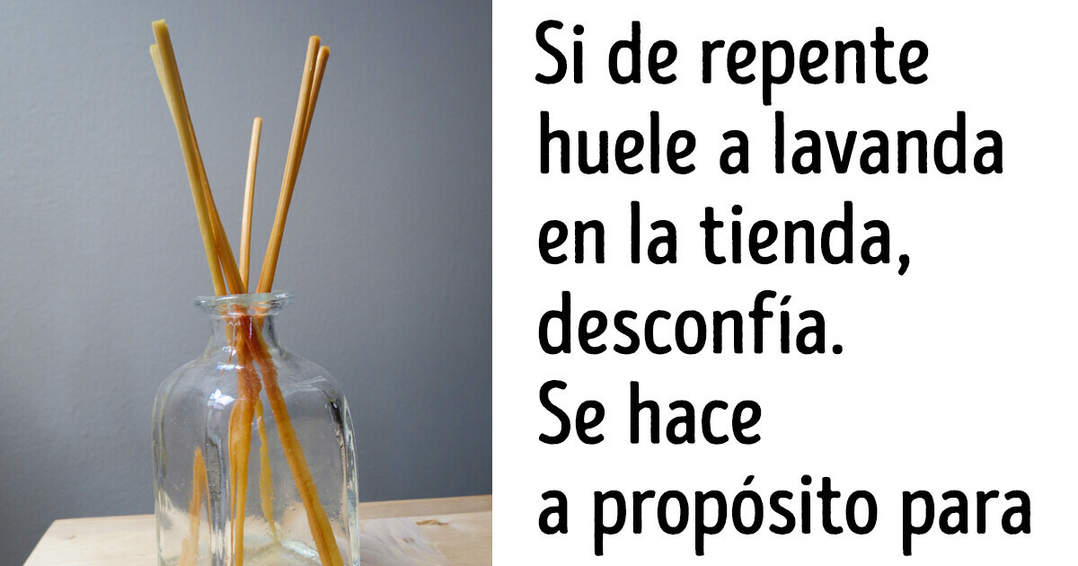13 Curiosidades sobre los perfumes que los expertos prefieren mantener en secreto 13 Curiosidades sobre los perfumes que los expertos prefieren mantener en secreto
