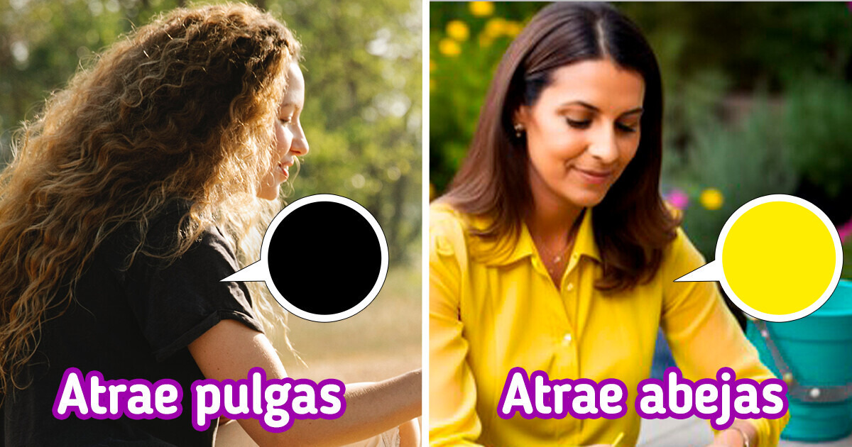 Los colores que deberíamos evitar si queremos alejar a 9 molestos insectos Los colores que deberíamos evitar si queremos alejar a 9 molestos insectos