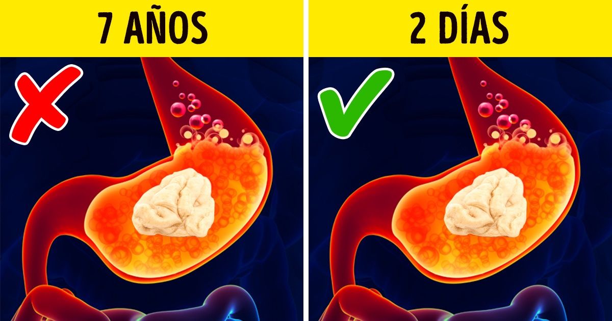 9 Creencias científicas comprobadas que son falsas
