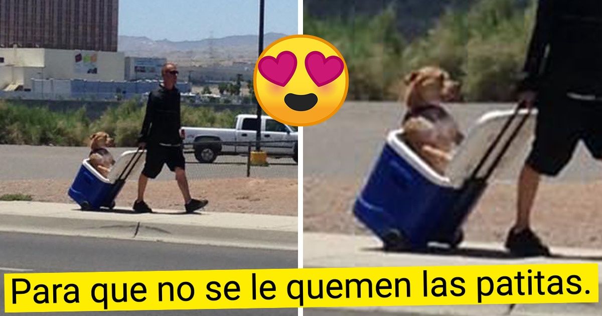 23 Genios que “hicieron trampa”, pero lograron su cometido 23 Genios que “hicieron trampa”, pero lograron su cometido