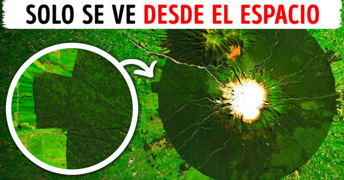 Bosque circular perfecto que solo puede verse desde el espacio Bosque circular perfecto que solo puede verse desde el espacio