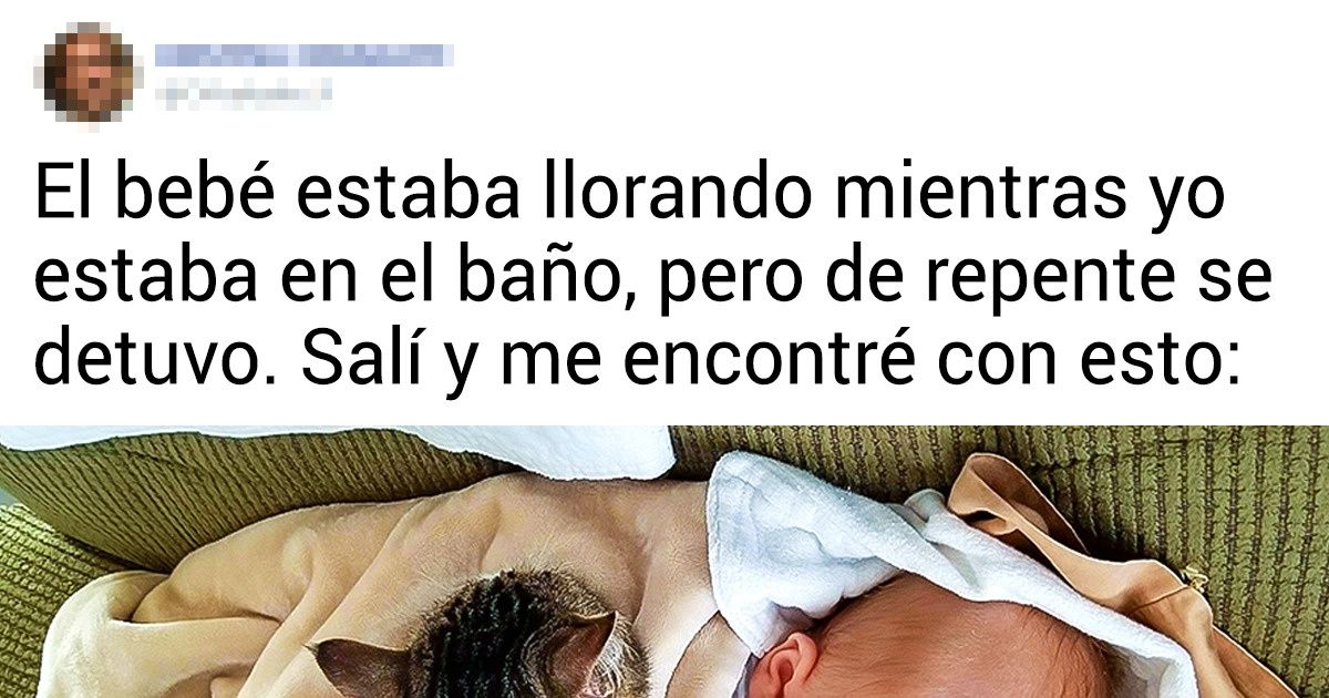 20 Animales que demostraron que su amor es tan poderoso que puede hacer sentir especiales a todos 20 Animales que demostraron que su amor es tan poderoso que puede hacer sentir especiales a todos