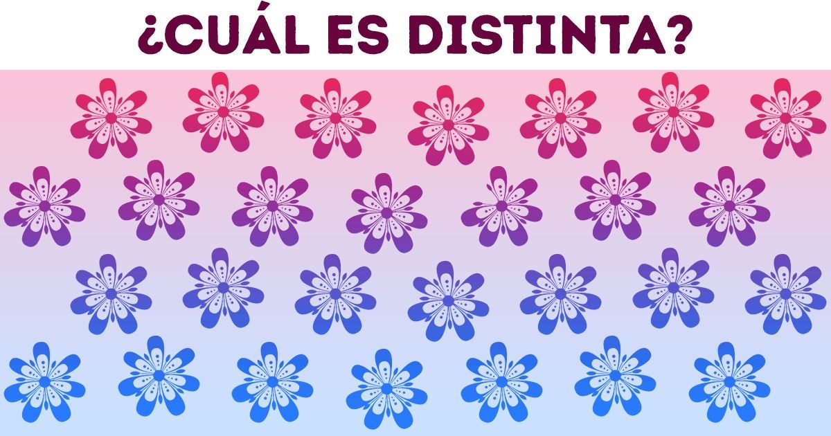 Test: Prueba tu agudeza visual y encuentra la flor que no pertenece al grupo (15 nuevos acertijos) Test: Prueba tu agudeza visual y encuentra la flor que no pertenece al grupo (15 nuevos acertijos)