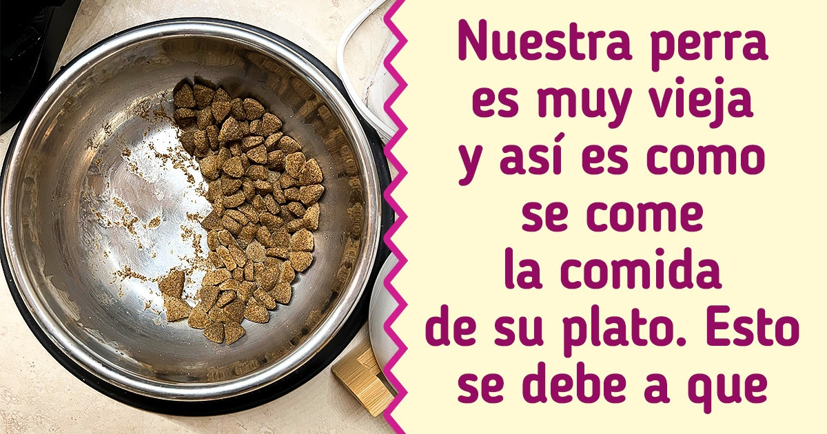 19 Fotos que aparentemente no tienen nada de especial, hasta que lees el pie de página 19 Fotos que aparentemente no tienen nada de especial, hasta que lees el pie de página