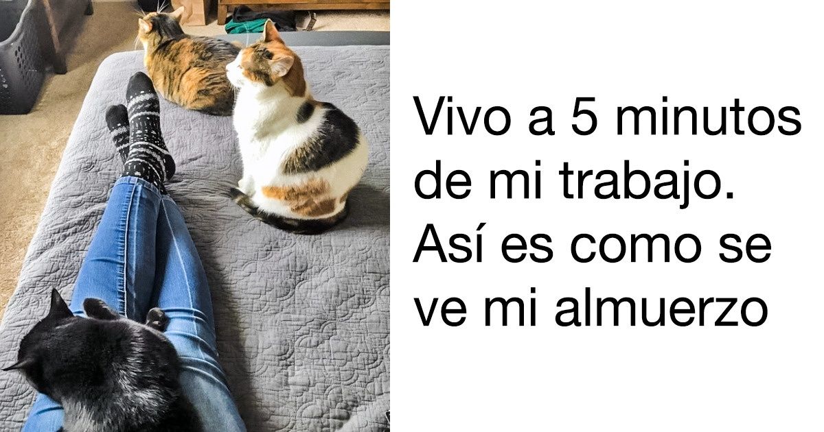 Fotos que demuestran que los introvertidos tienen su propio paraíso, en el cual no hay lugar para los extraños