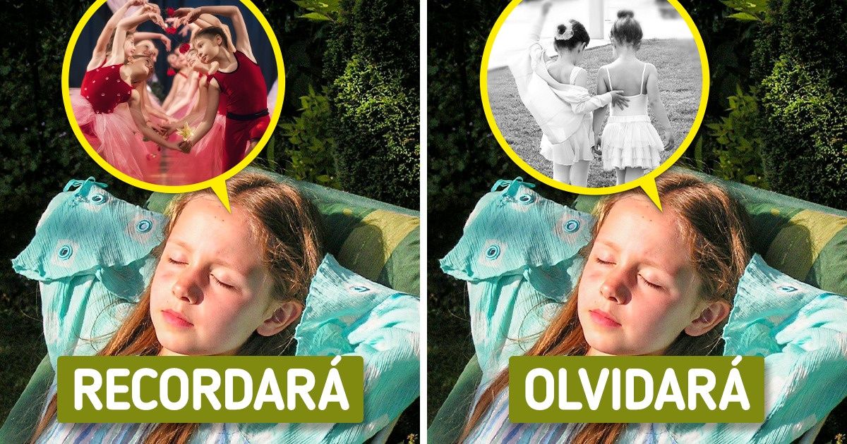 Por qué dormimos (y algunos datos sobre los sueños) Por qué dormimos (y algunos datos sobre los sueños)