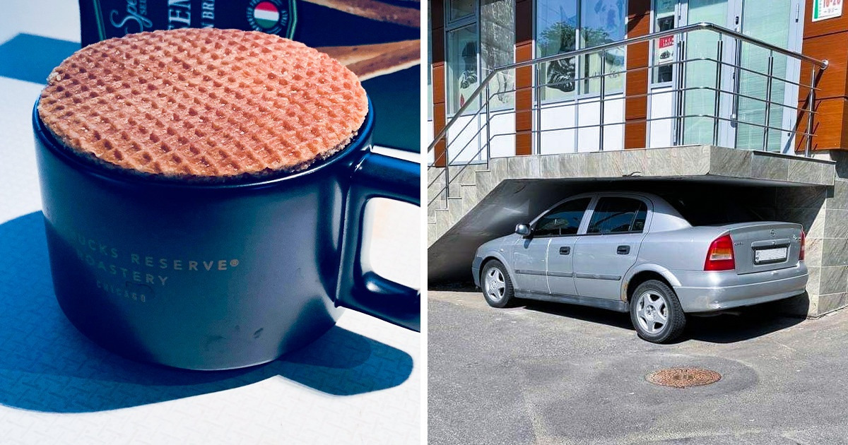 25 Personas que vieron al universo alinearse justo frente a sus ojos como por arte de magia