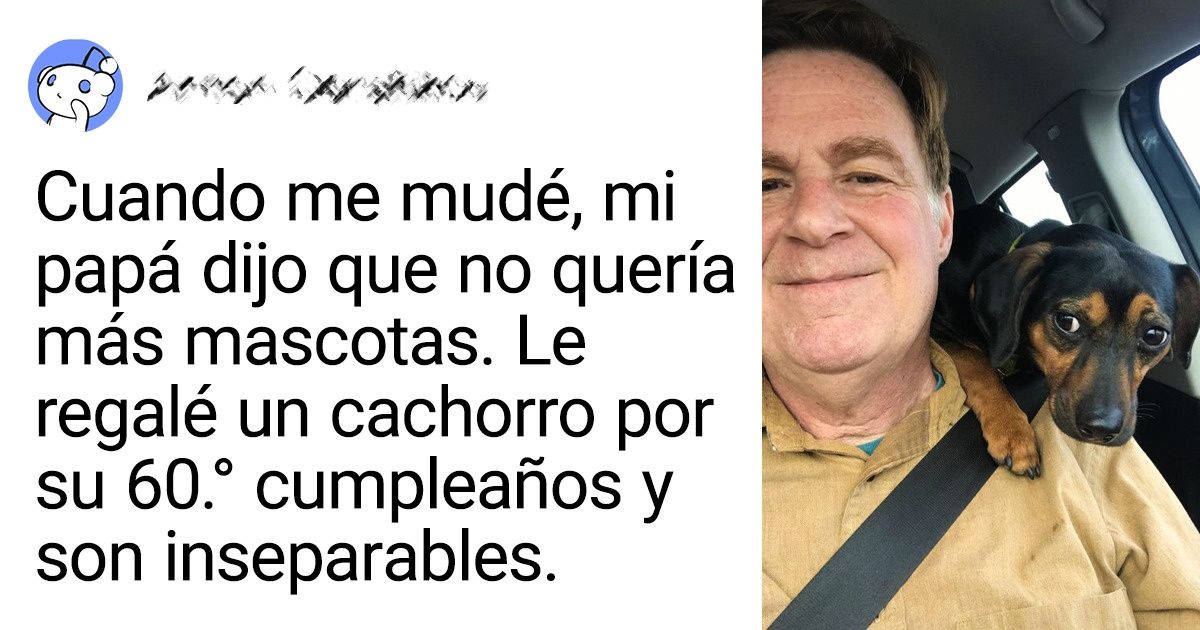 22+ Adorables cachorros que puede que logren cautivarte desde la primera mirada o travesura 22+ Adorables cachorros que puede que logren cautivarte desde la primera mirada o travesura