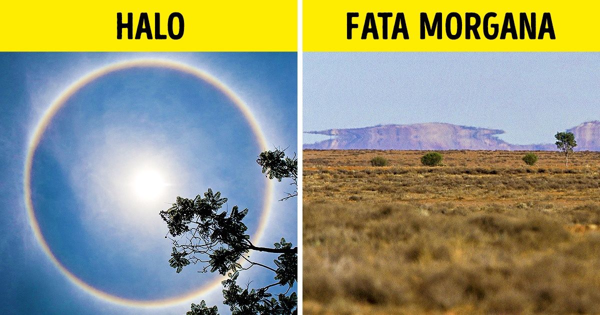 ¿Piensas que esto es Photoshop? En realidad, la naturaleza siempre tiene con qué sorprendernos y hemos encontrado algunas pruebas