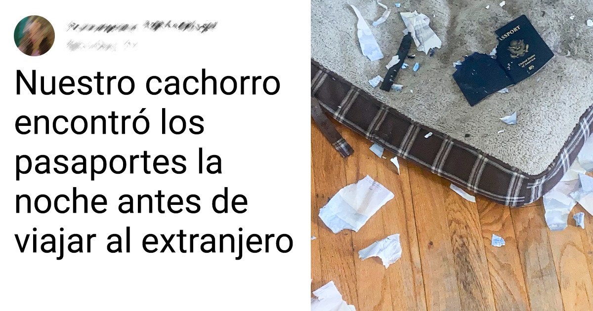 18 Desafortunados que tienen un imán para la mala suerte