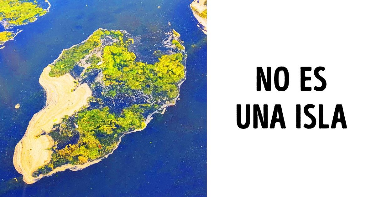 13 Ilusiones ópticas que te harán dudar de la realidad