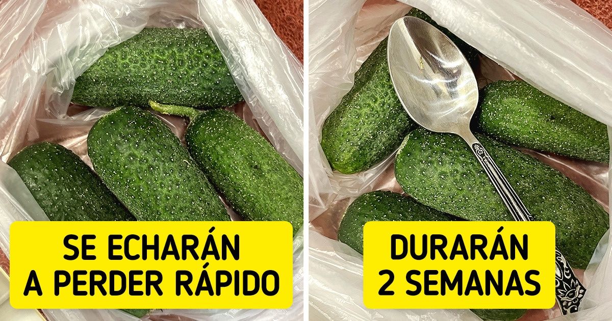 14 Formas inusuales de mantener frescos los productos durante mucho más tiempo 14 Formas inusuales de mantener frescos los productos durante mucho más tiempo