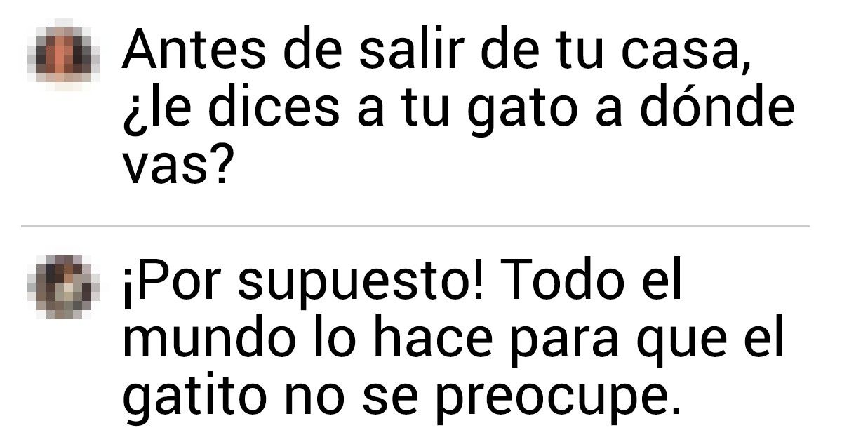 20+ Confesiones sobre lo que las personas les dicen a sus gatos antes de salir de casa 20+ Confesiones sobre lo que las personas les dicen a sus gatos antes de salir de casa