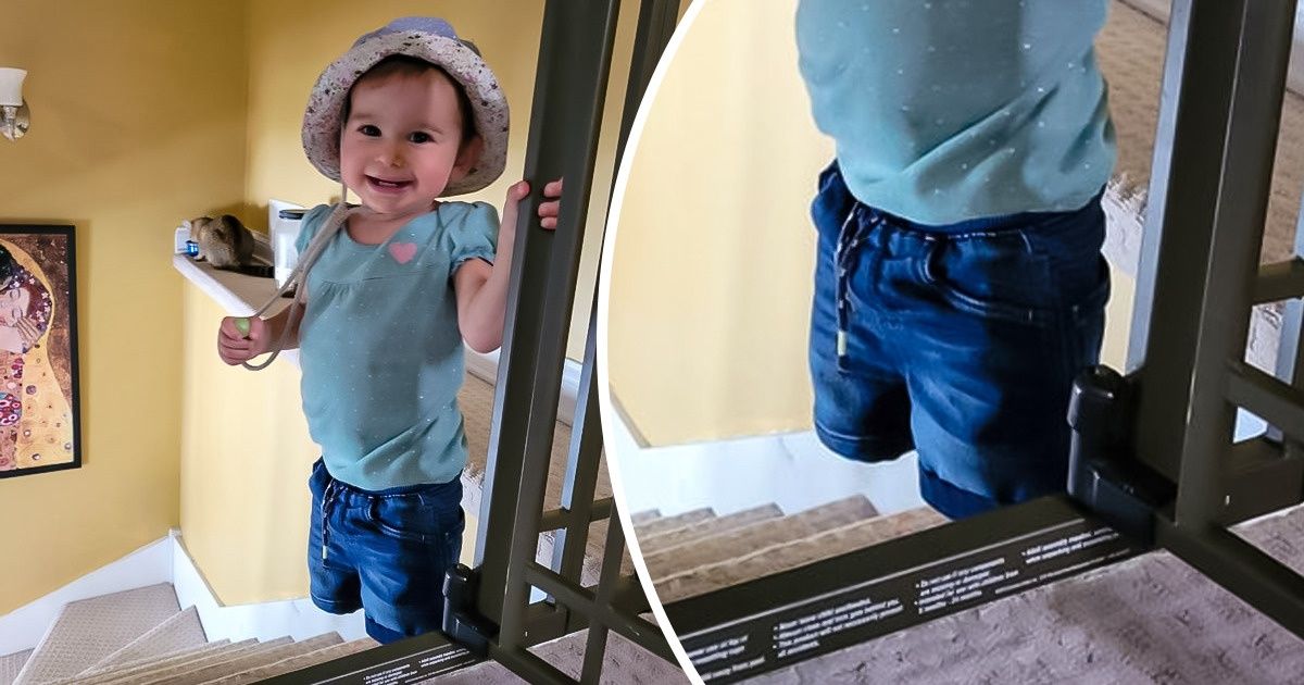 19 Fotos tan confusas que vale la pena hacerles “zoom”