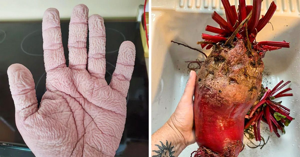 19 Fotos que demuestran que la naturaleza siempre tiene algo extraordinario para mostrarnos
