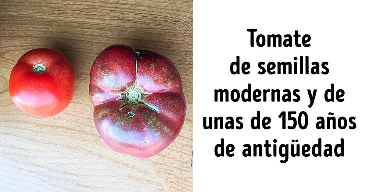 20+ Cosas que solo se conocen verdaderamente por comparación