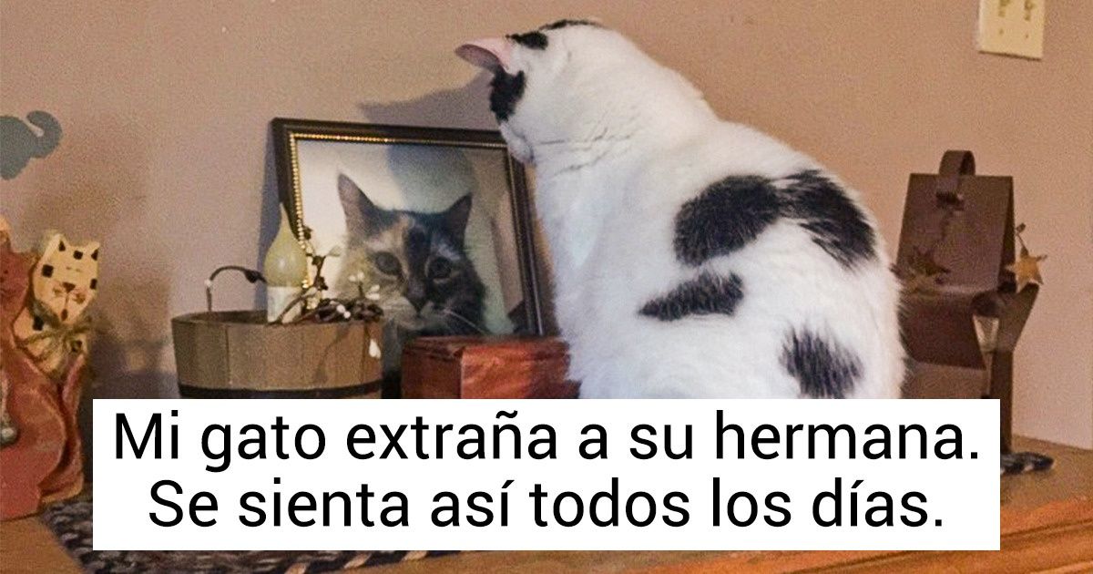 25 Fotos que cuentan historias conmovedoras sobre el amor verdadero 25 Fotos que cuentan historias conmovedoras sobre el amor verdadero