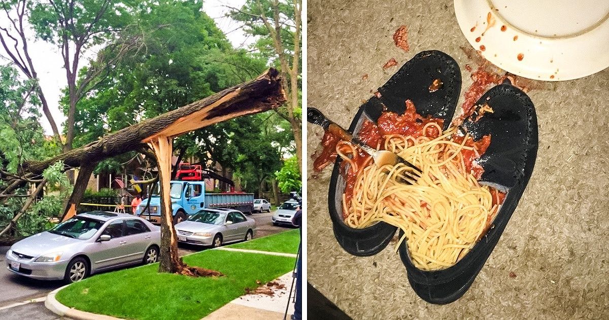 Los científicos han descubierto cómo atraen la suerte las personas que son afortunadas en todo Los científicos han descubierto cómo atraen la suerte las personas que son afortunadas en todo