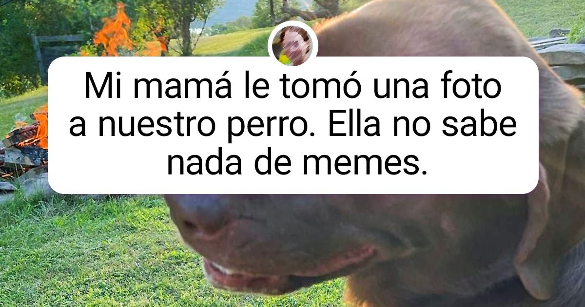 20+ Pruebas de que el mundo a veces puede ser tan sorprendente que solo queda apreciarlo en silencio 20+ Pruebas de que el mundo a veces puede ser tan sorprendente que solo queda apreciarlo en silencio