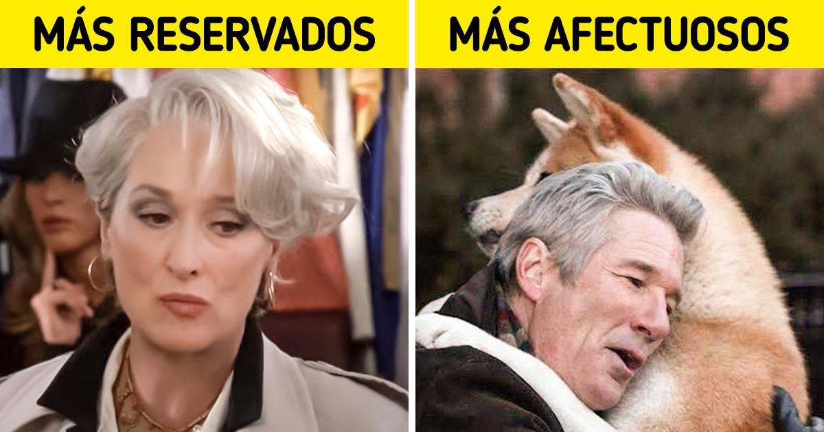 10 Diferencias entre dueños de perros y gatos que demuestran que las mascotas dicen mucho de nosotros 10 Diferencias entre dueños de perros y gatos que demuestran que las mascotas dicen mucho de nosotros
