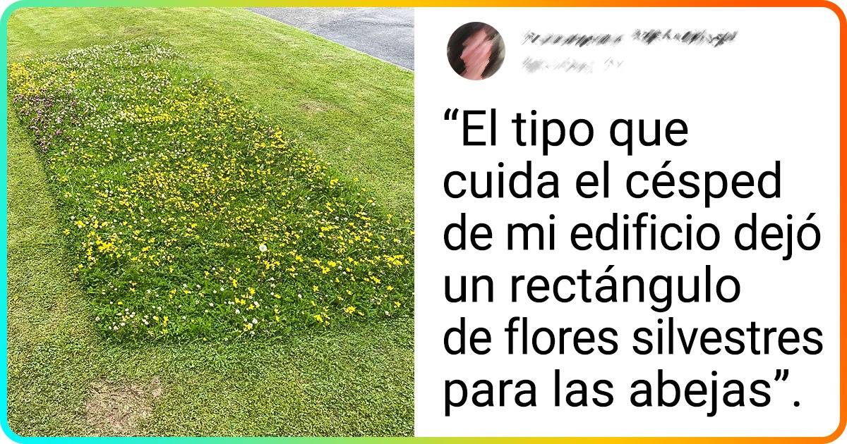 21 Objetos que nos hacen ver que las pequeñas acciones tienen un gran impacto 21 Objetos que nos hacen ver que las pequeñas acciones tienen un gran impacto