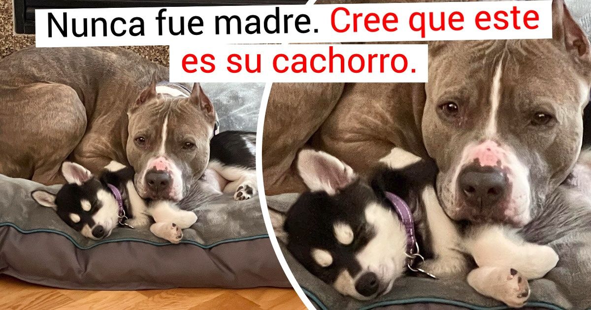 20 Pruebas de que la palabra “nunca” también equivale a cosas positivas