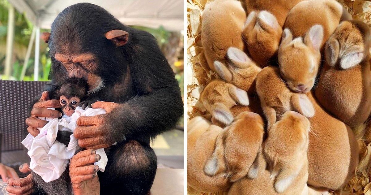 15+ Fotos de abrazos acogedores que pueden ayudarnos a “sobrevivir” este otoño 15+ Fotos de abrazos acogedores que pueden ayudarnos a “sobrevivir” este otoño