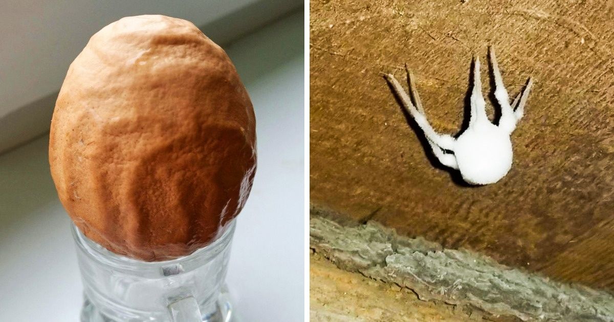 17 Hallazgos raros que confunden incluso a aquellos que han visto mucho en este mundo