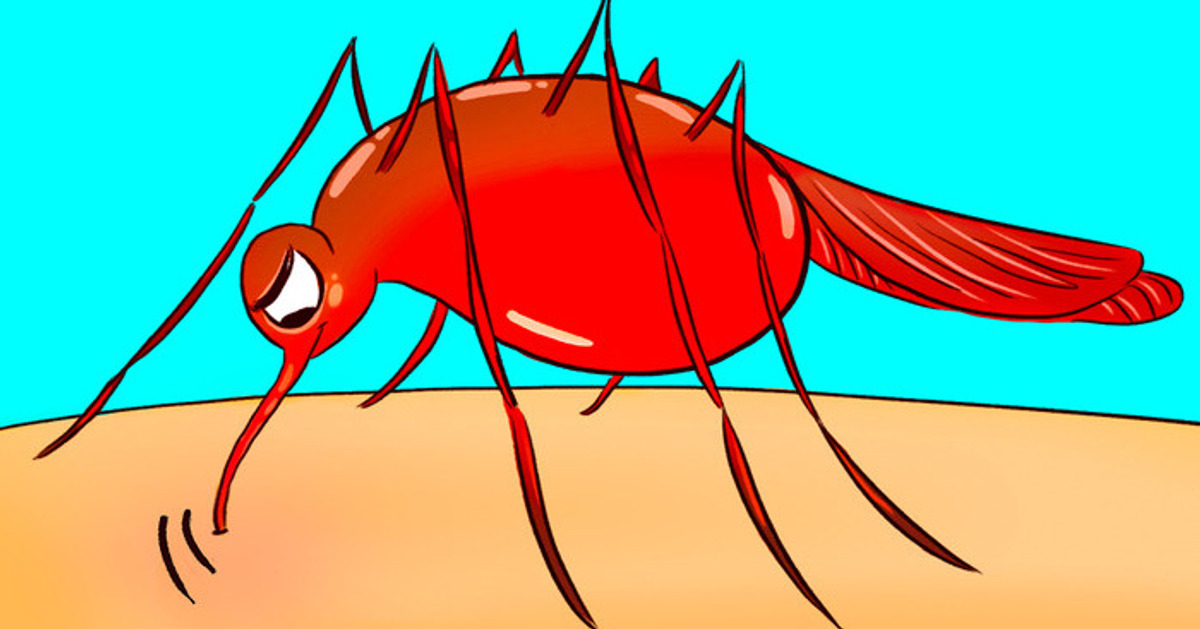 Si los mosquitos te pican más que a otros, aquí tienes el por qué