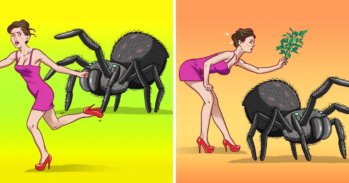 9 Maneras de mantener a las arañas e insectos fuera de tu casa