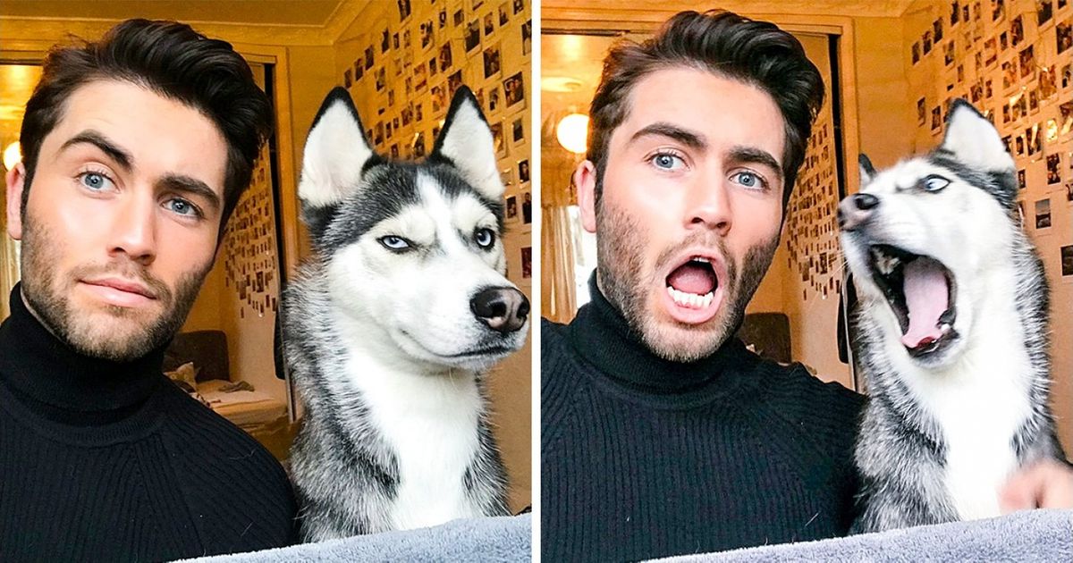 Este británico lanzó un flashmob con dueños que copian hábilmente a sus mascotas