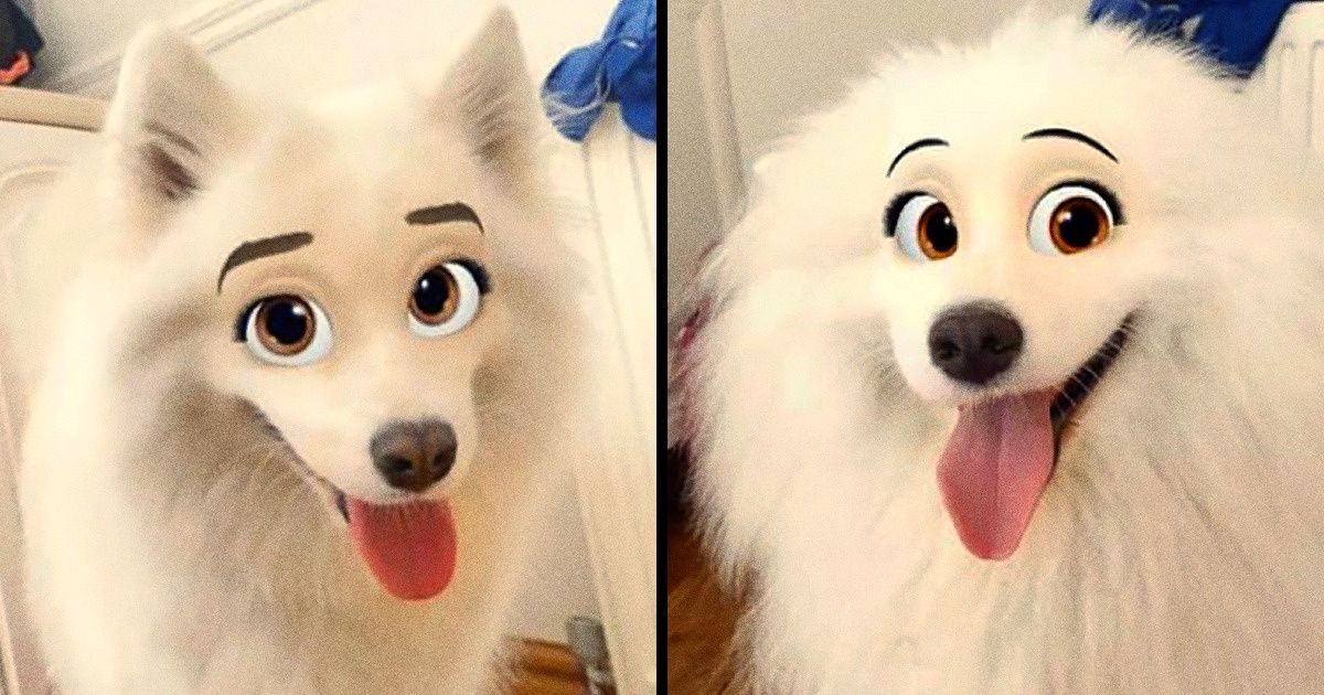 Existe un filtro en Snapchat que convierte a tu mascota en un personaje de Disney (20+ Fotos) Existe un filtro en Snapchat que convierte a tu mascota en un personaje de Disney (20+ Fotos)