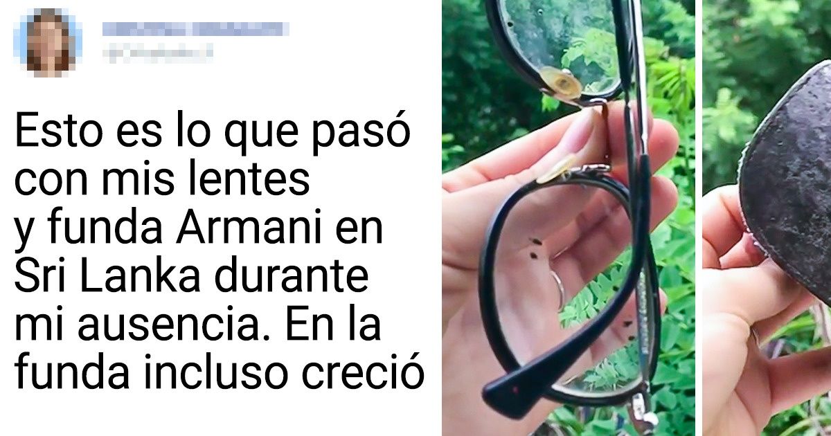13 Sutilezas en las que no piensan las personas al soñar con dejar sus trabajos e irse a vivir a unas islas paradisíacas 13 Sutilezas en las que no piensan las personas al soñar con dejar sus trabajos e irse a vivir a unas islas paradisíacas