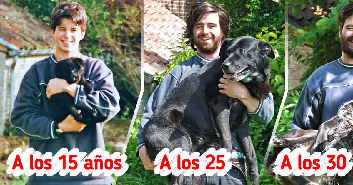 20+ Momentos con mascotas que cautivan por su emoción y espontaneidad