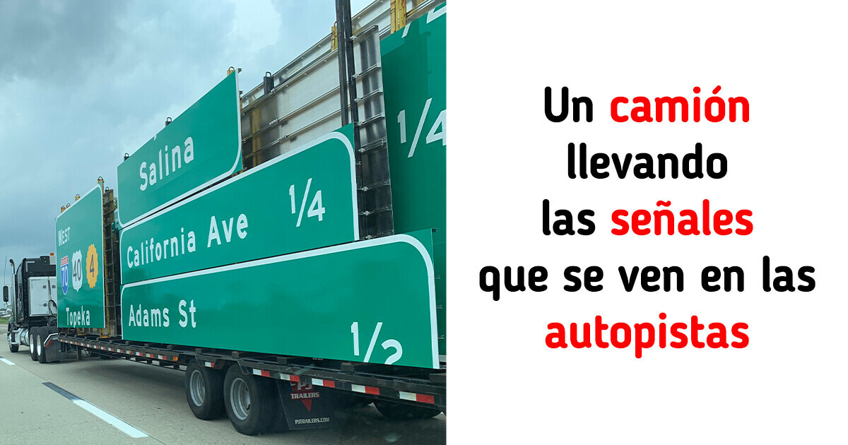 15 Afortunados que tenían la cámara en la mano en el momento justo