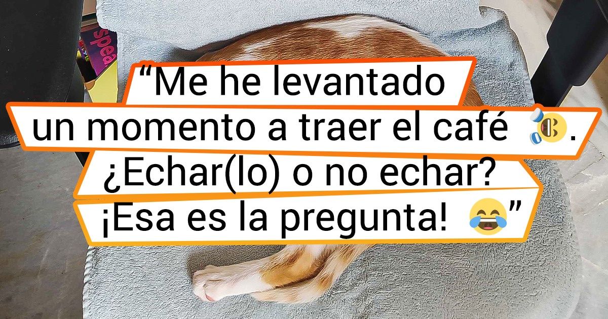 18 Mascotas de los autores de Genial que hacen todo lo posible para que trabajar sea mucho más difícil