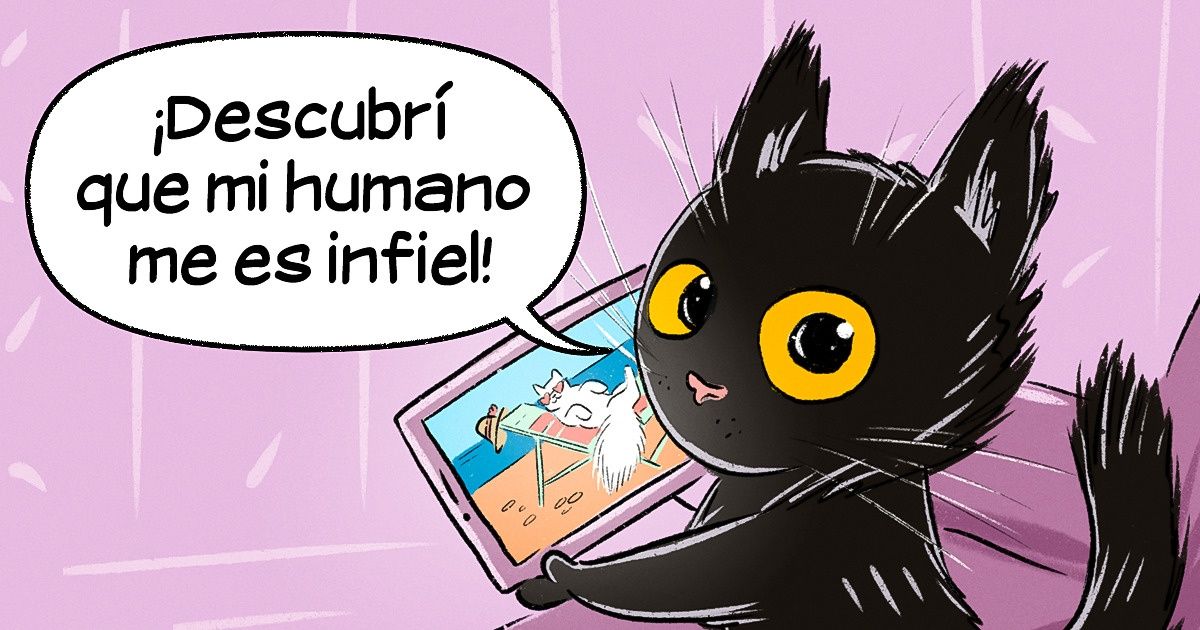 20 Cosas que creemos que nuestros gatos hacen cuando es de noche 20 Cosas que creemos que nuestros gatos hacen cuando es de noche