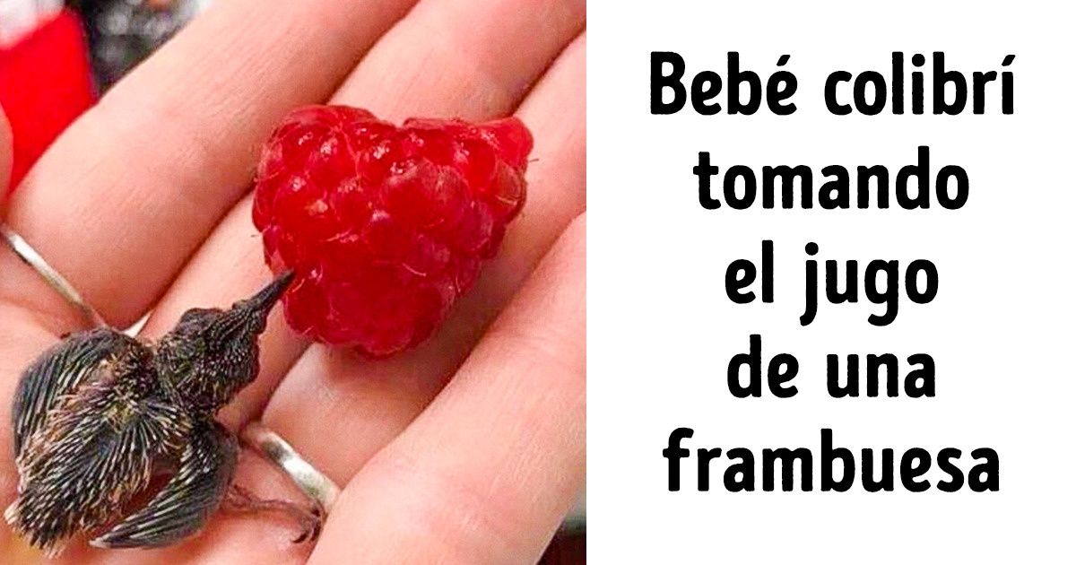 19 Fotos que son como un oasis en un mundo de caos